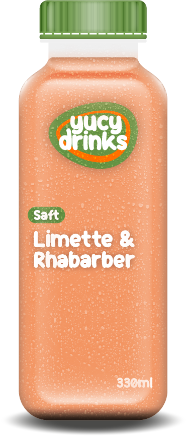 Flasche mit Limette & Rhabarber Saft